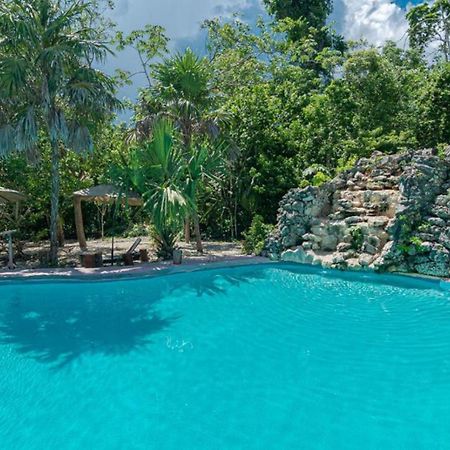 Jolie Jungle Eco Hotel (Adults Only) Леона-Викарио Экстерьер фото
