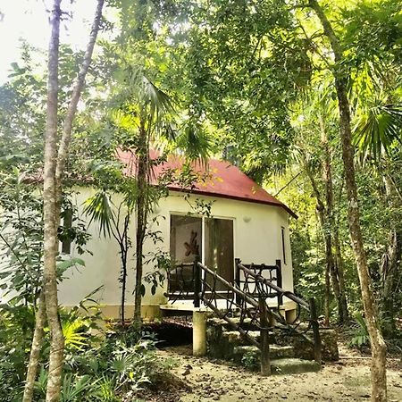 Jolie Jungle Eco Hotel (Adults Only) Леона-Викарио Экстерьер фото