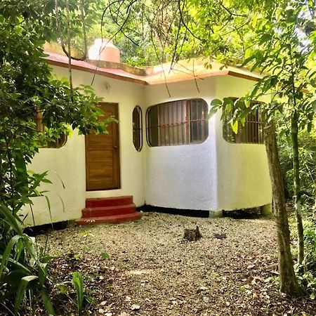 Jolie Jungle Eco Hotel (Adults Only) Леона-Викарио Экстерьер фото