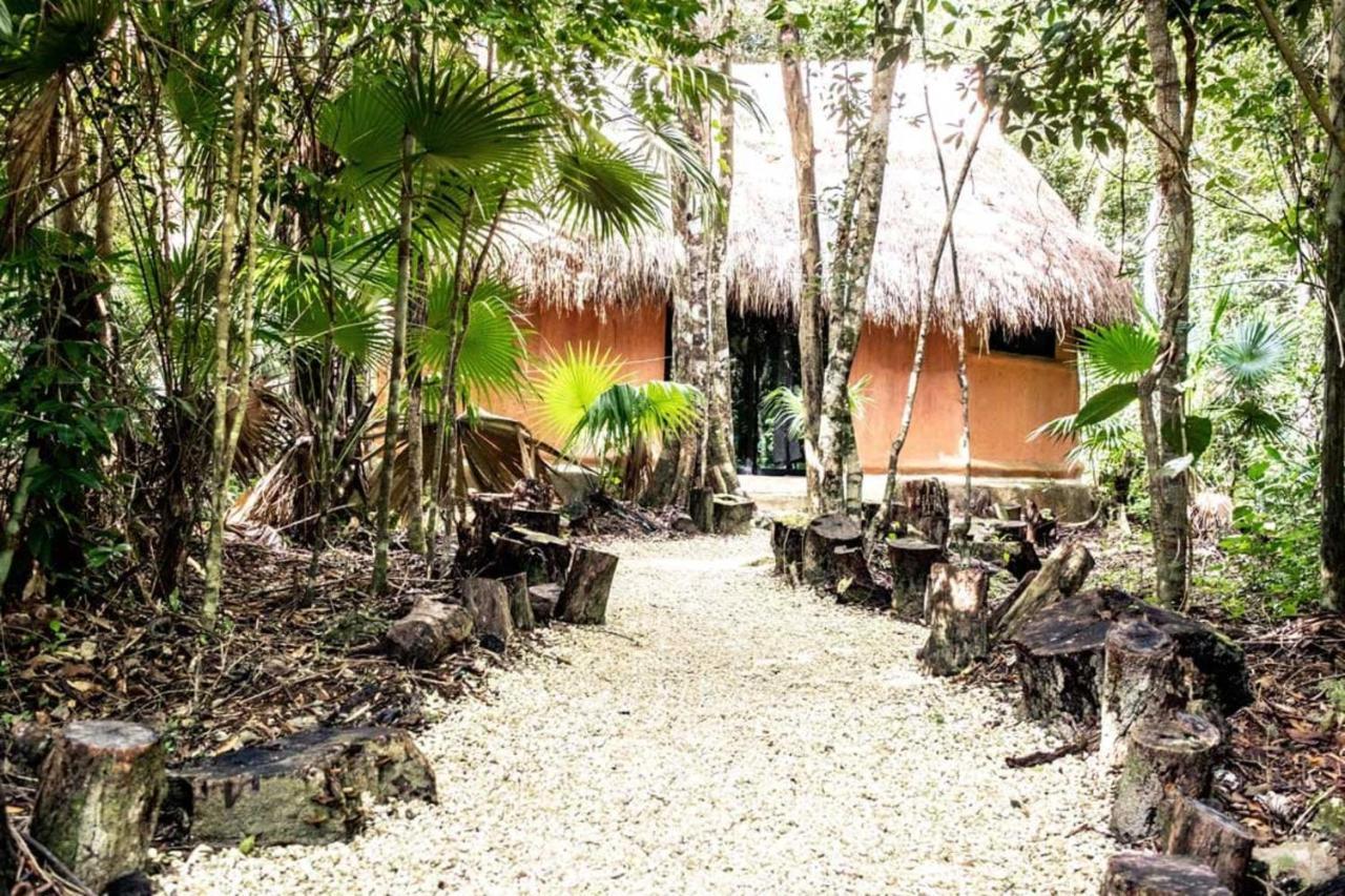 Jolie Jungle Eco Hotel (Adults Only) Леона-Викарио Экстерьер фото