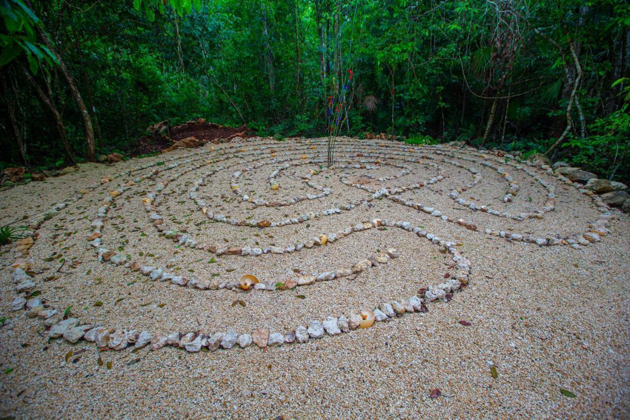 Jolie Jungle Eco Hotel (Adults Only) Леона-Викарио Экстерьер фото