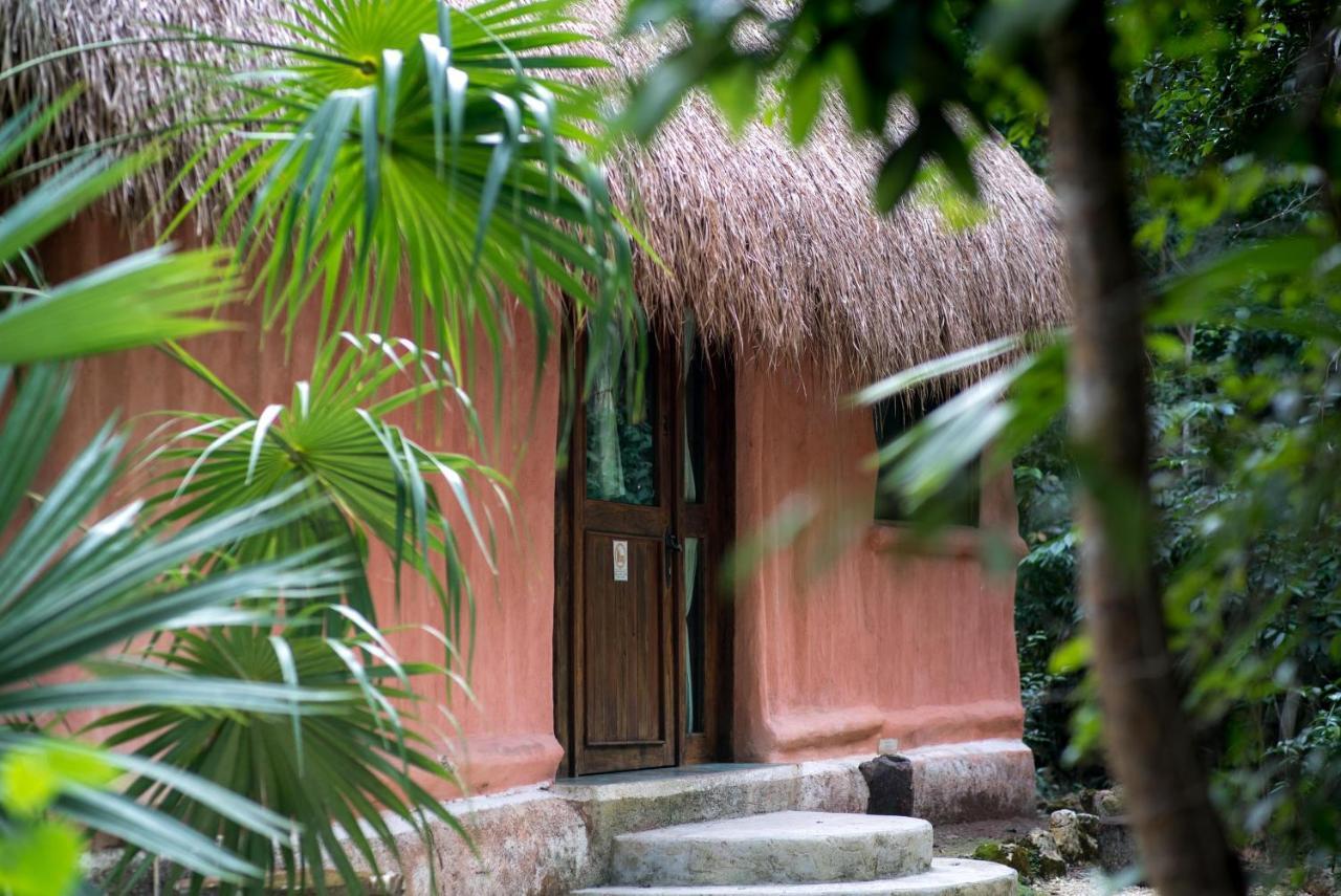 Jolie Jungle Eco Hotel (Adults Only) Леона-Викарио Экстерьер фото