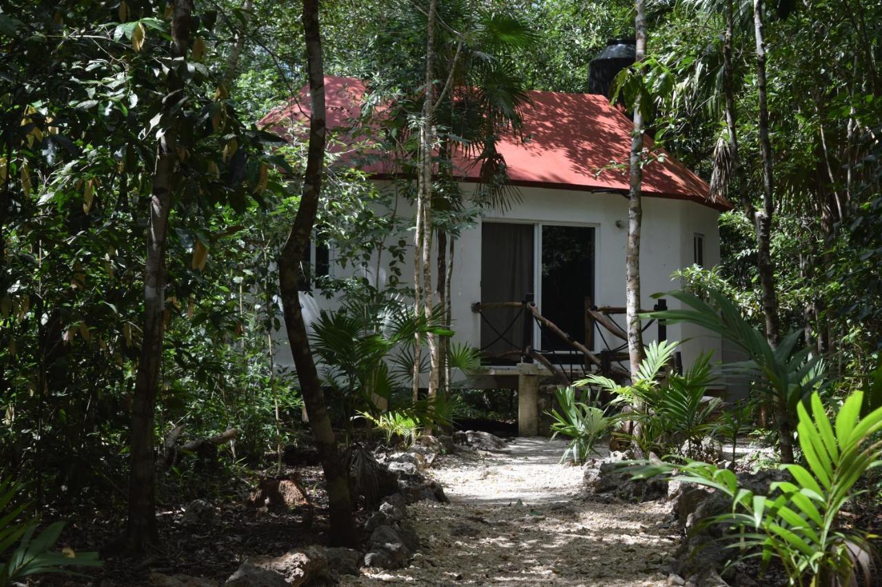 Jolie Jungle Eco Hotel (Adults Only) Леона-Викарио Экстерьер фото