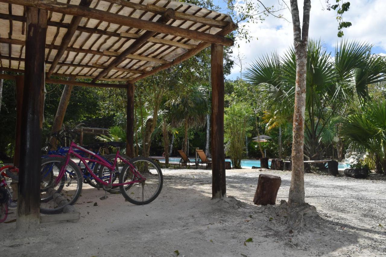 Jolie Jungle Eco Hotel (Adults Only) Леона-Викарио Экстерьер фото