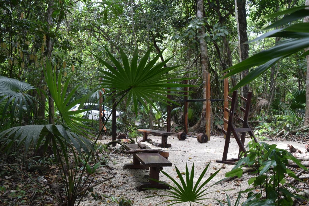 Jolie Jungle Eco Hotel (Adults Only) Леона-Викарио Экстерьер фото