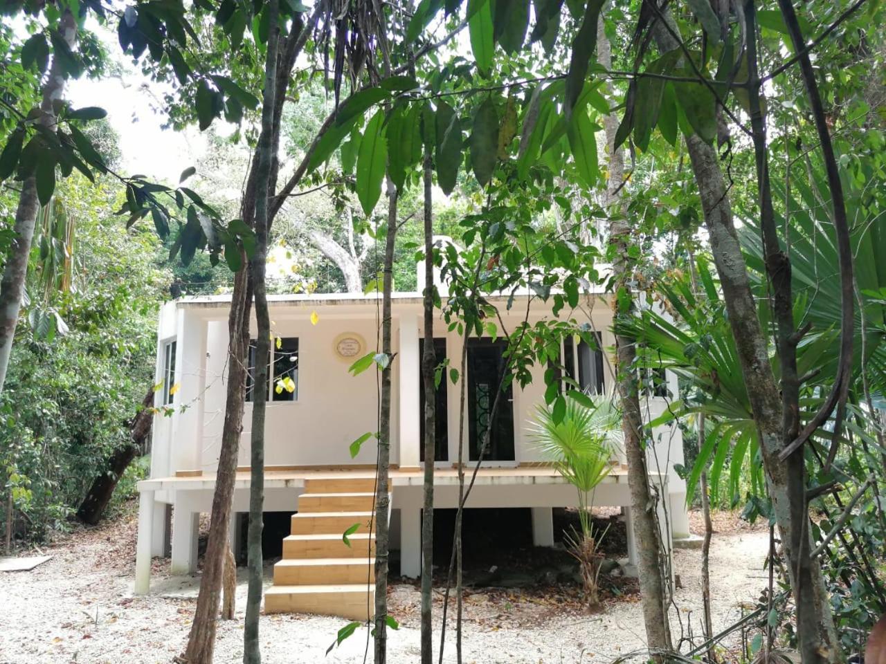 Jolie Jungle Eco Hotel (Adults Only) Леона-Викарио Экстерьер фото