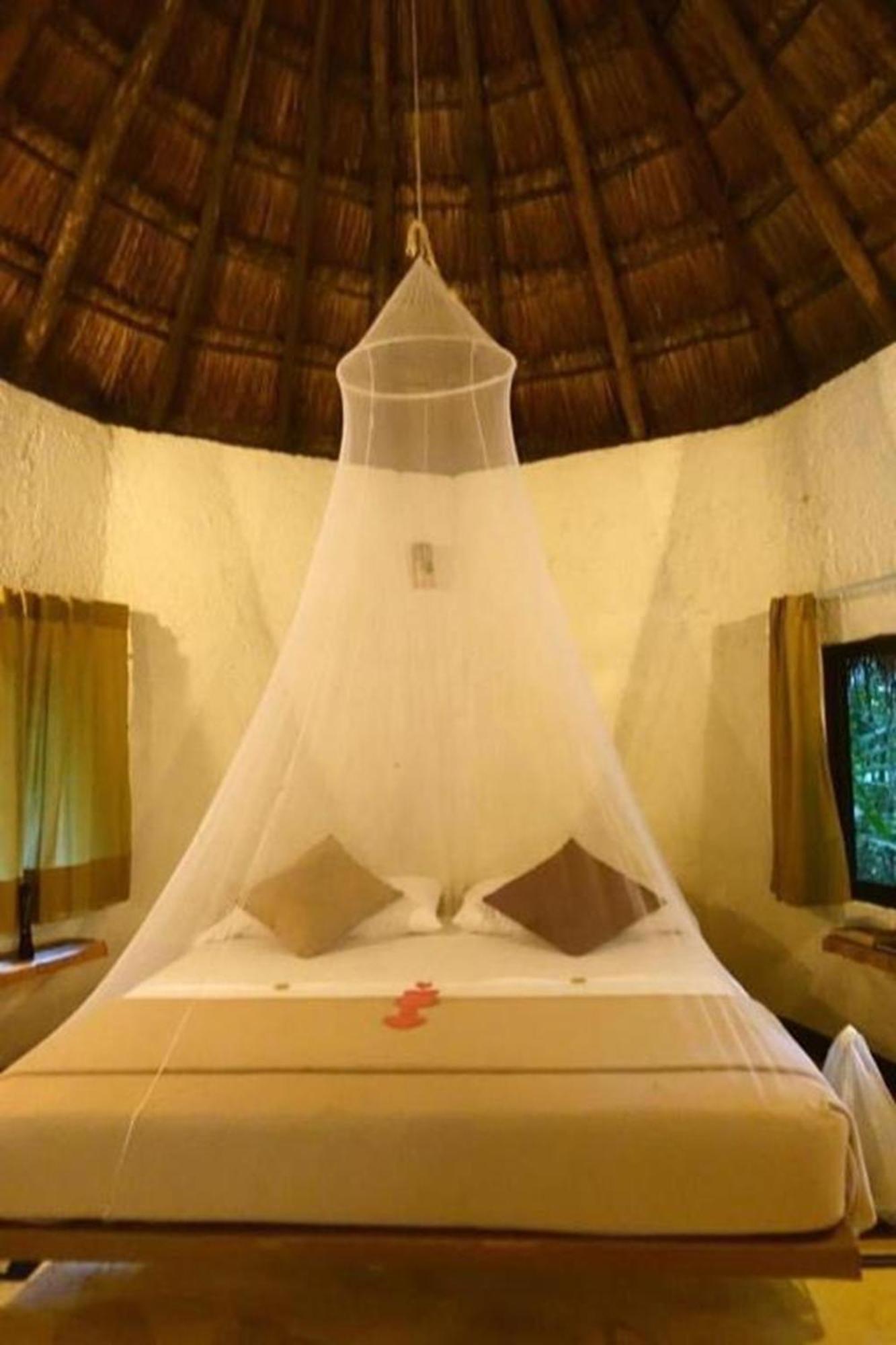 Jolie Jungle Eco Hotel (Adults Only) Леона-Викарио Экстерьер фото