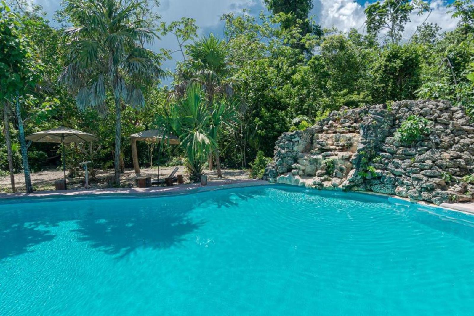 Jolie Jungle Eco Hotel (Adults Only) Леона-Викарио Экстерьер фото