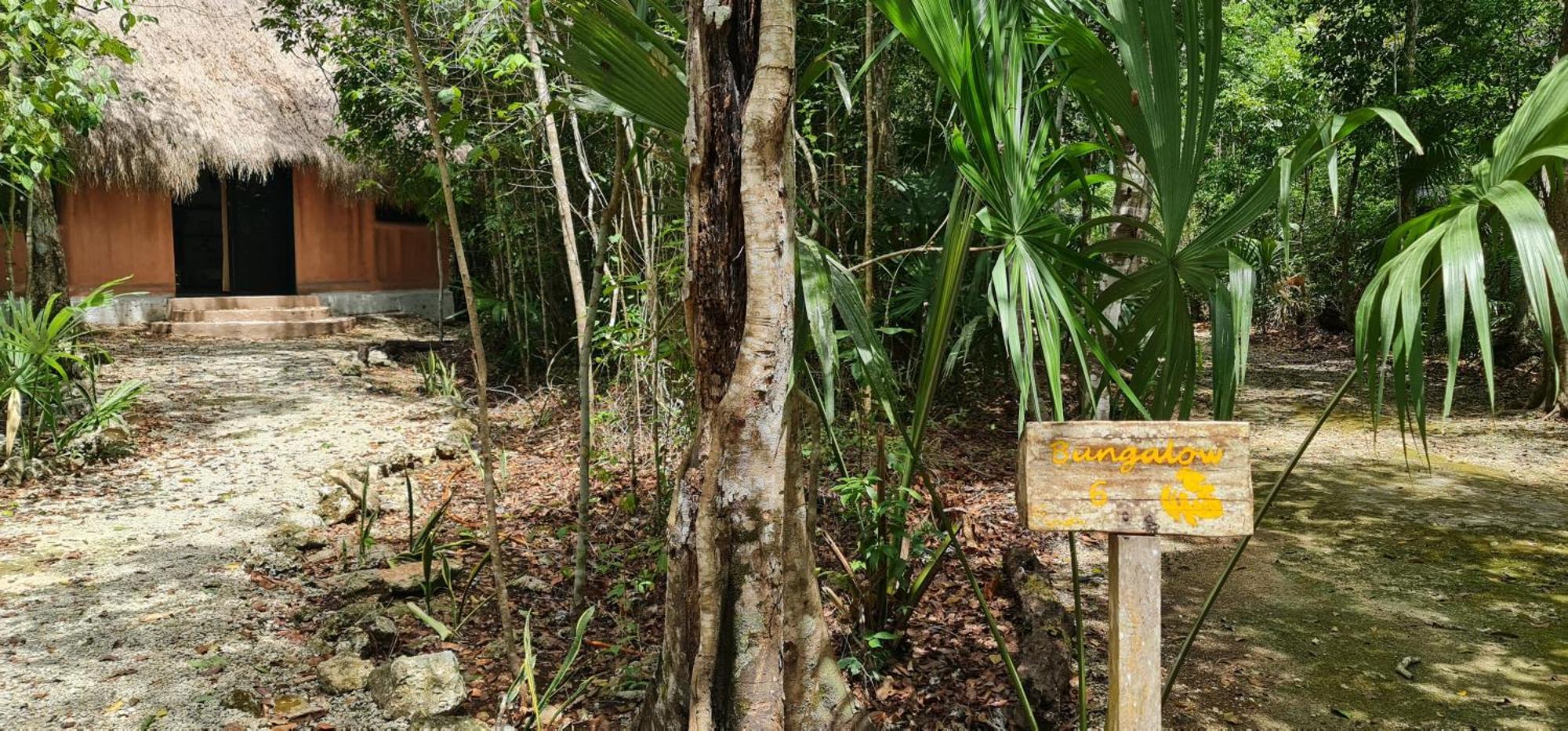Jolie Jungle Eco Hotel (Adults Only) Леона-Викарио Экстерьер фото