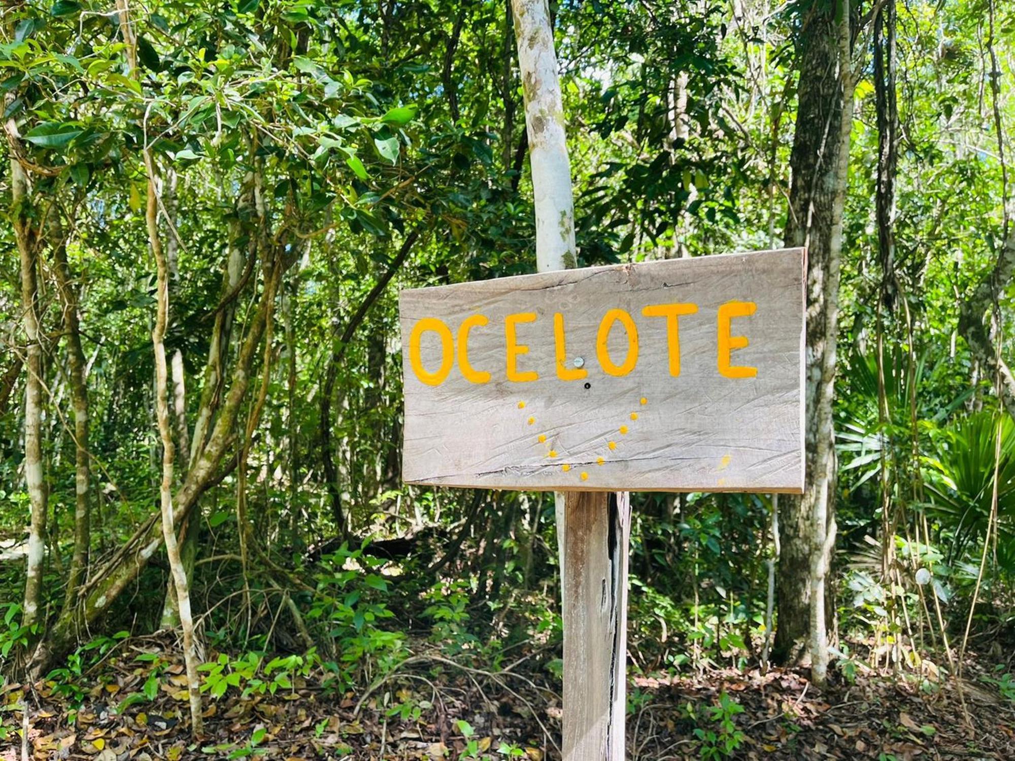 Jolie Jungle Eco Hotel (Adults Only) Леона-Викарио Номер фото